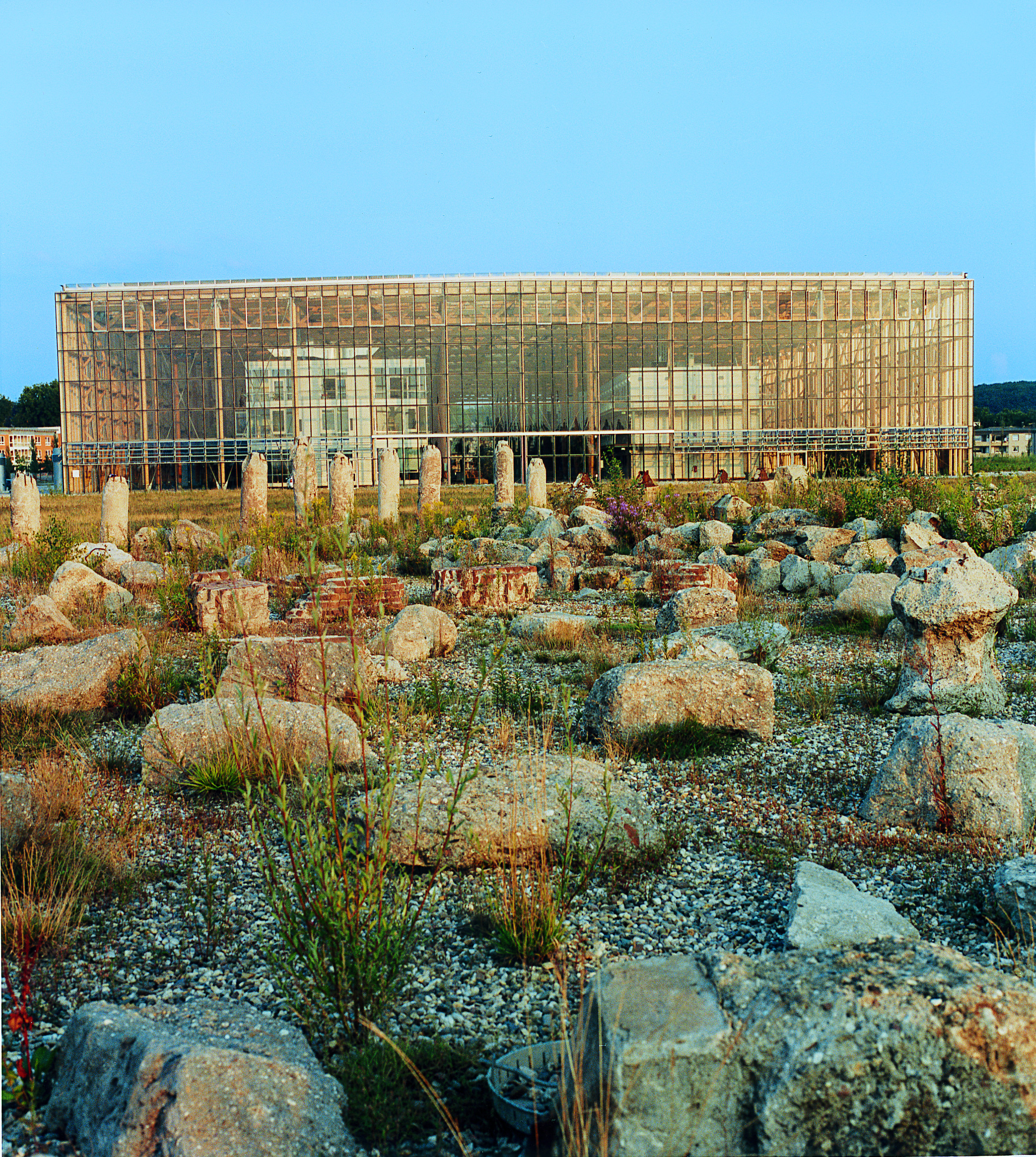 large stone field, grosses steinfeld, mont cenis, herman prigann