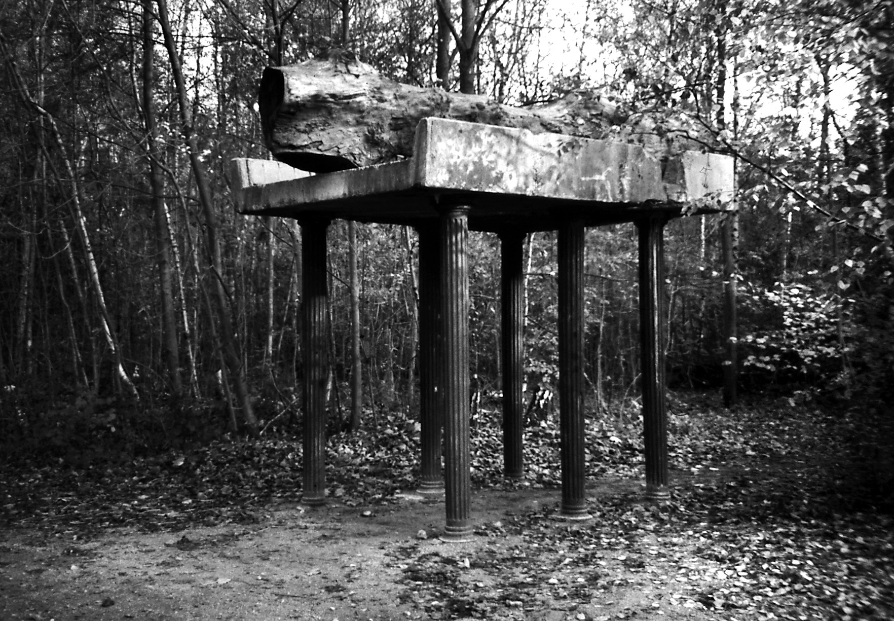Rheinelbe Sculpture Woods by Herman Prigann
