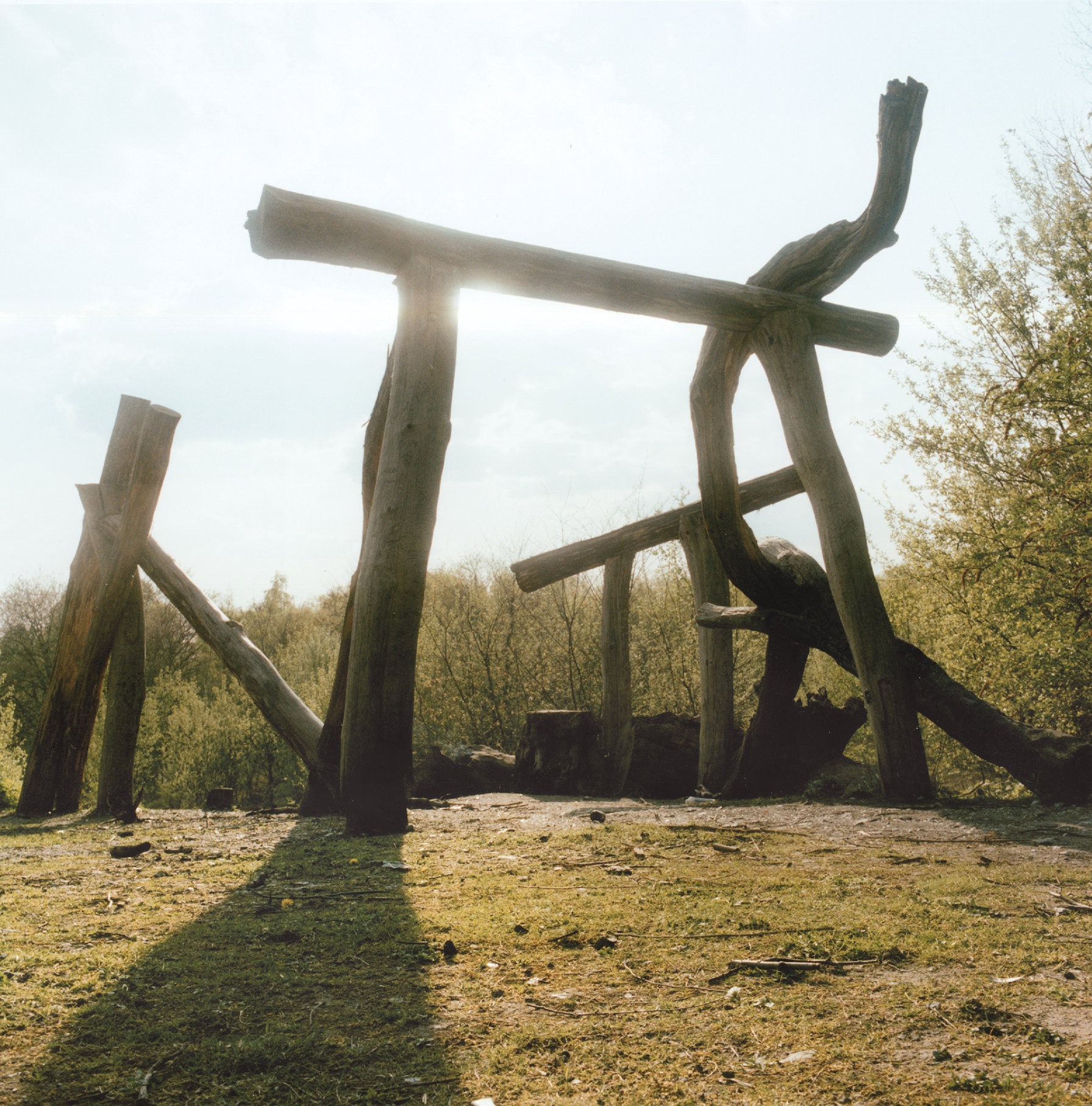 wooden place, baumplatz, rheinelbe