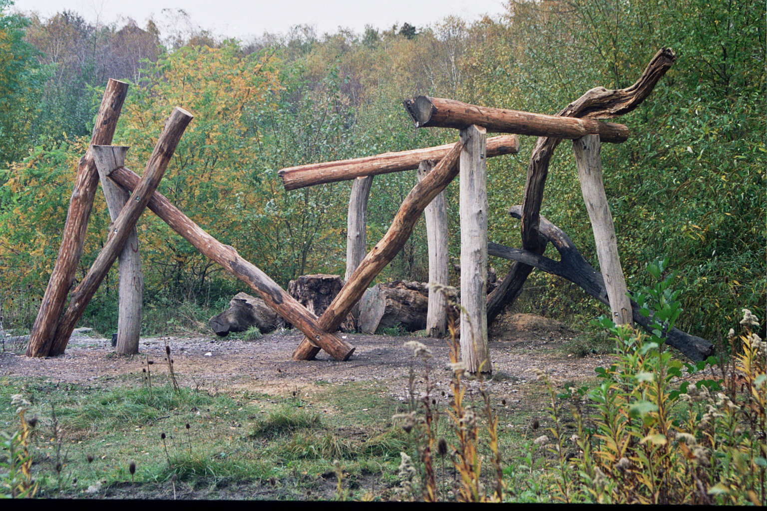 wooden place, baumplatz, rheinelbe