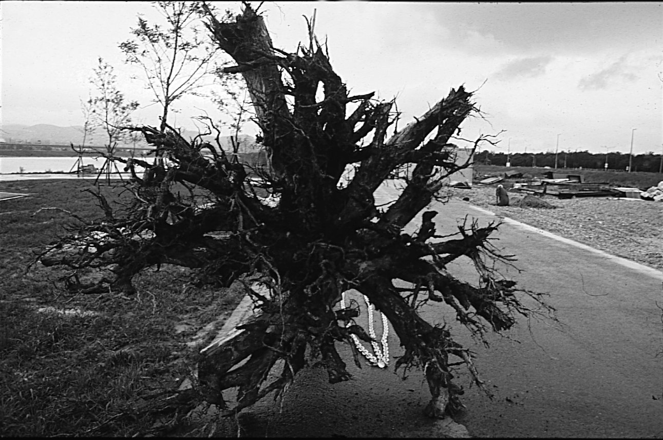 Hanging Tree by Herman Prigann